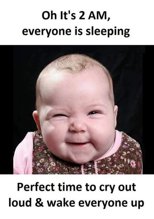 Reply Image