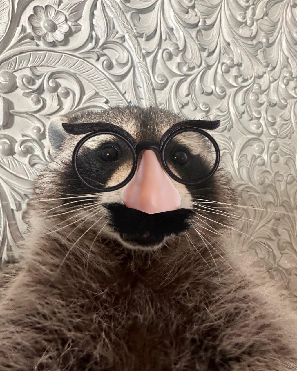 Thread Image