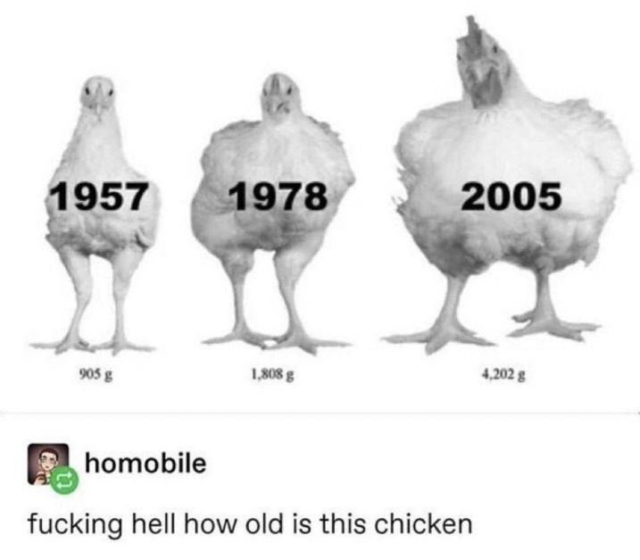 Thread image
