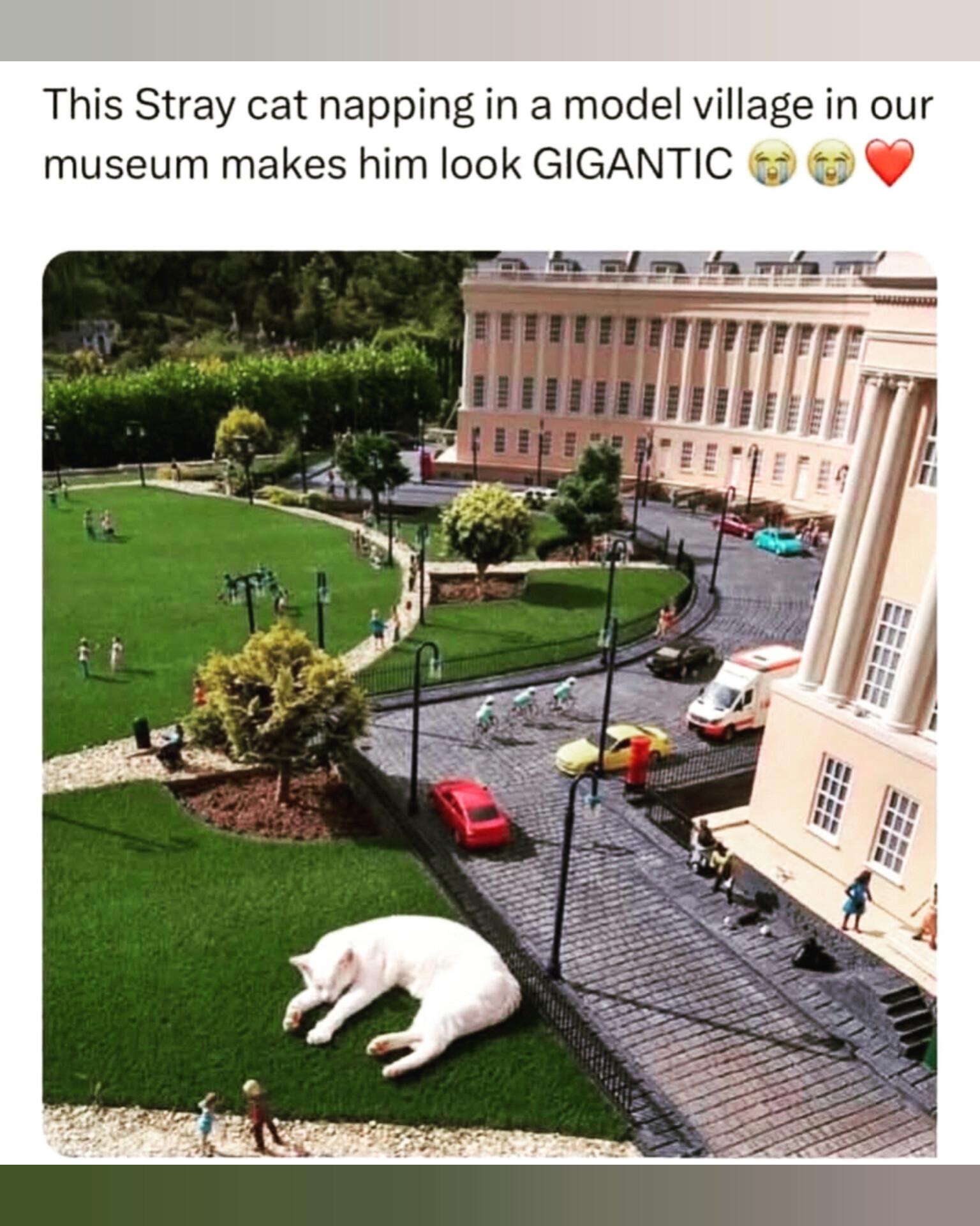 Thread image