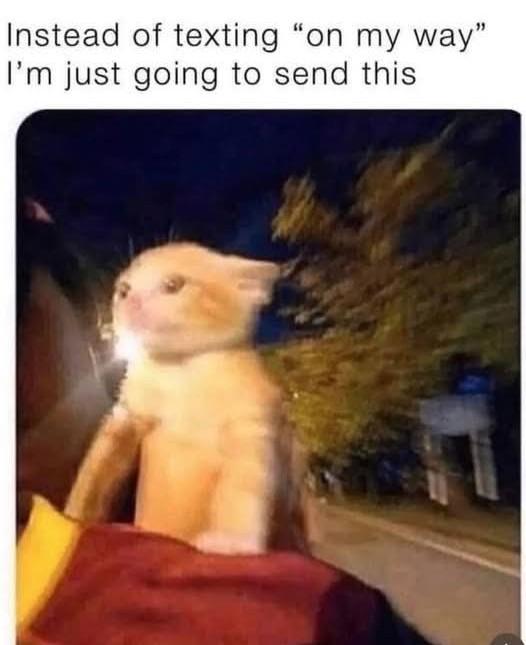 Thread Image