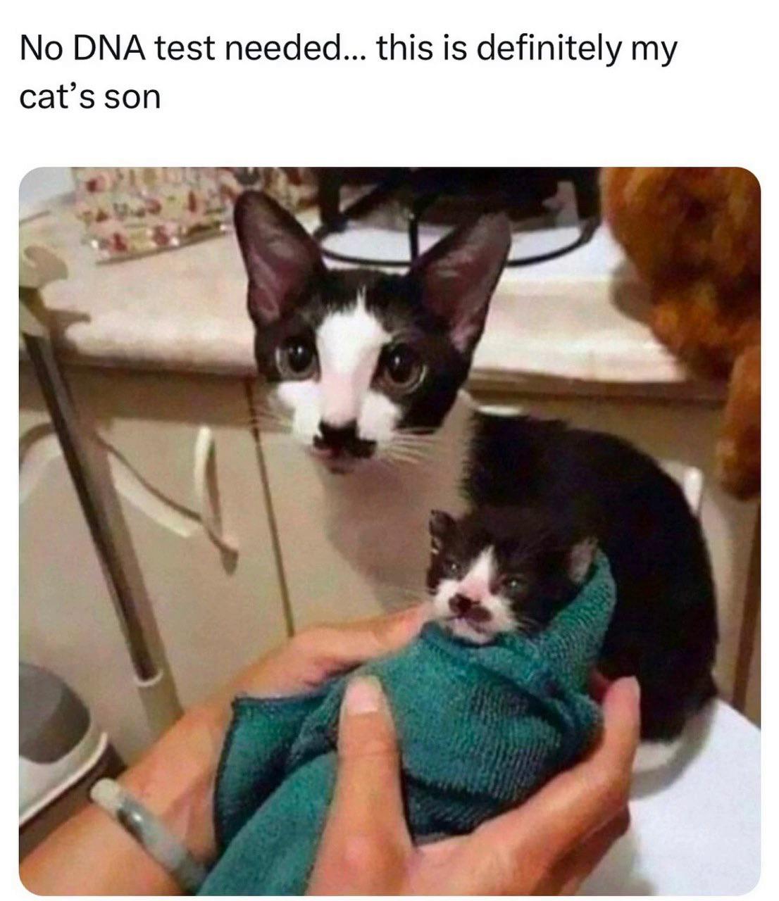 Thread image