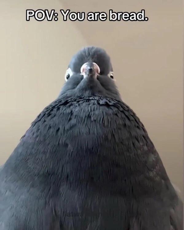 Thread image