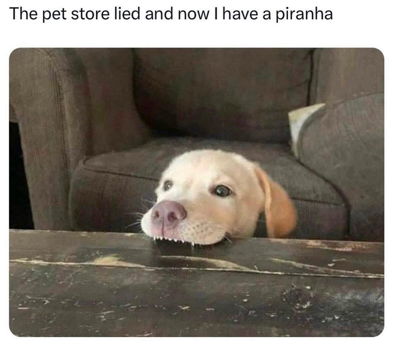 Thread Image