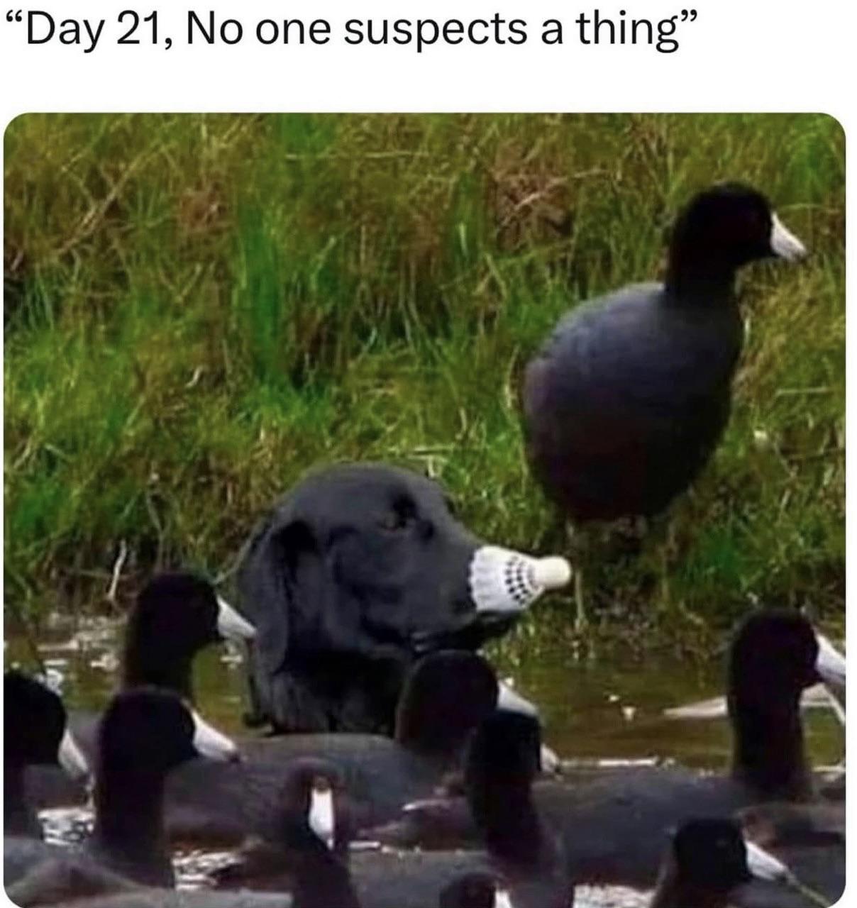 Thread Image