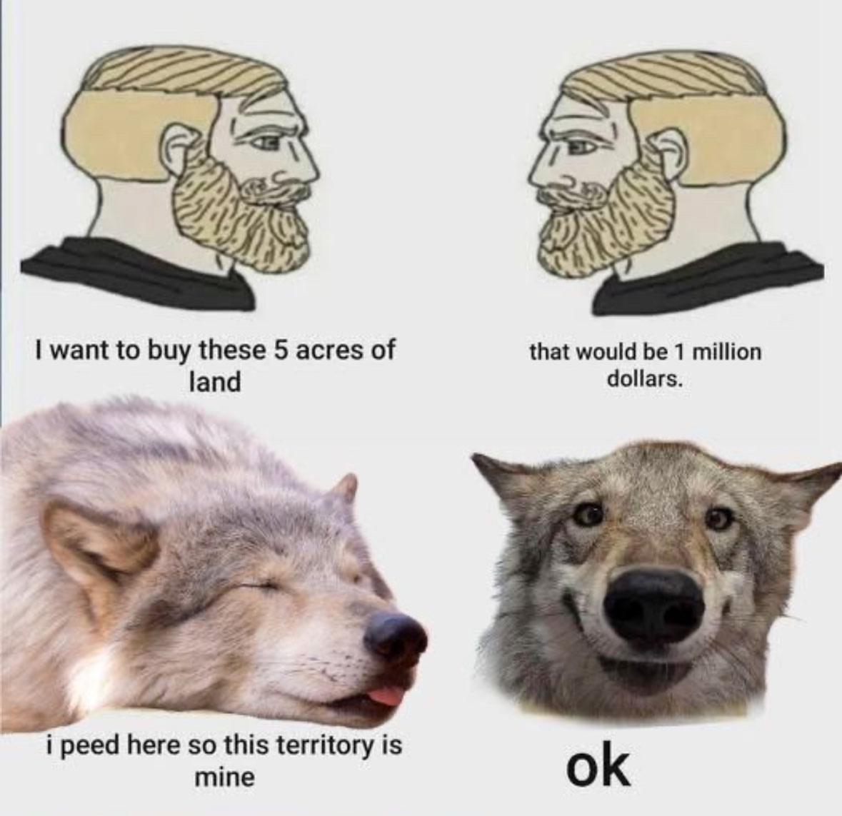 Thread image