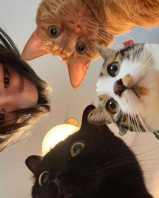 Thread image