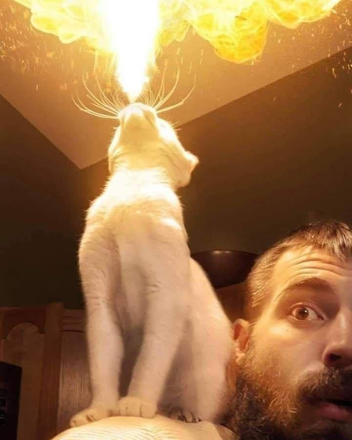Thread image