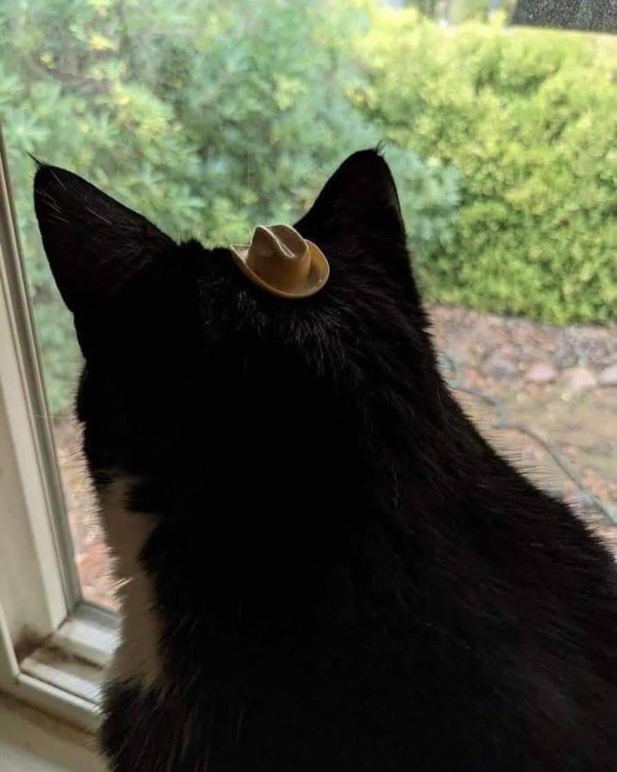 Thread image