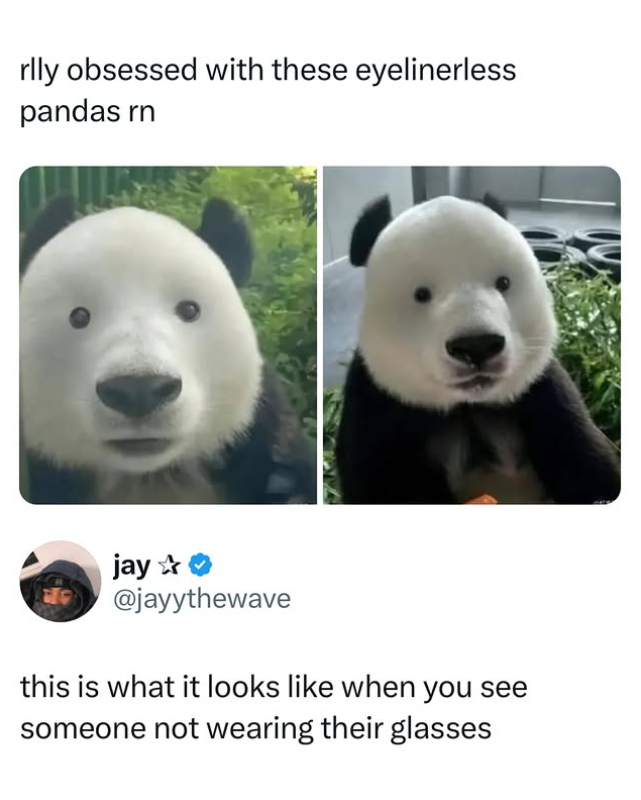 Thread image