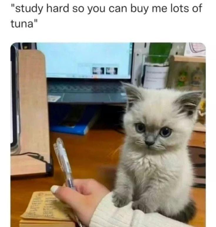 Thread image
