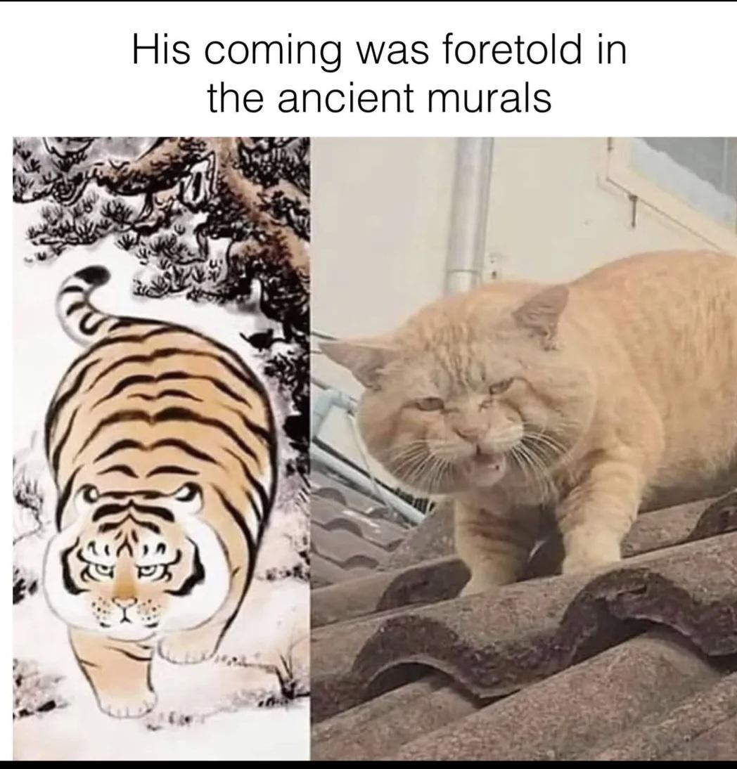 Thread image
