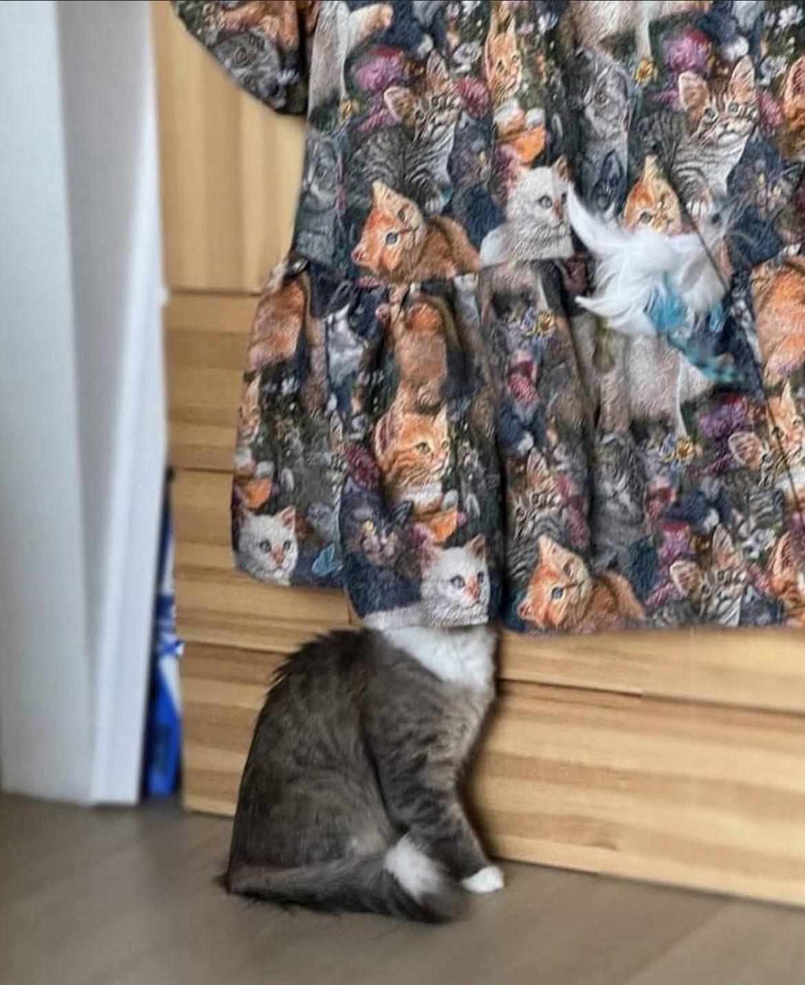 Thread image