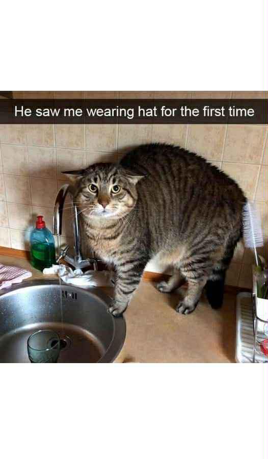 Thread image