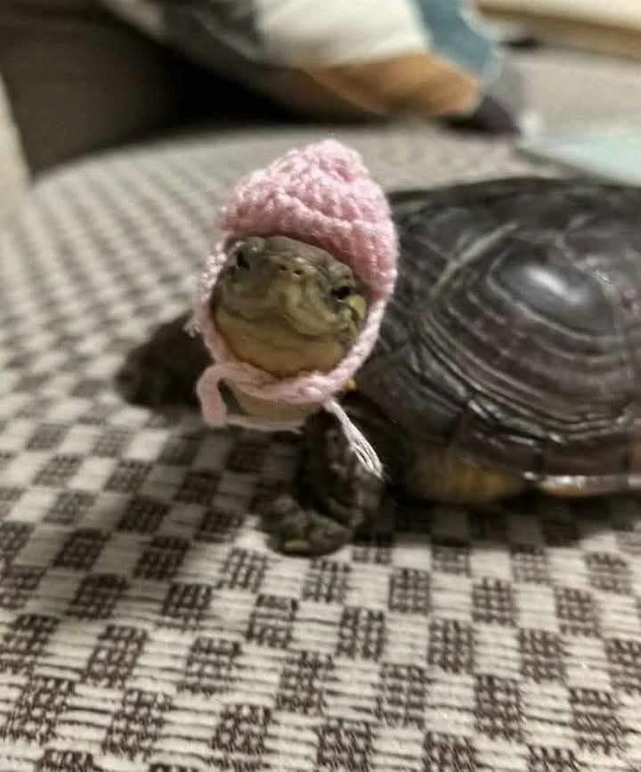 Thread image