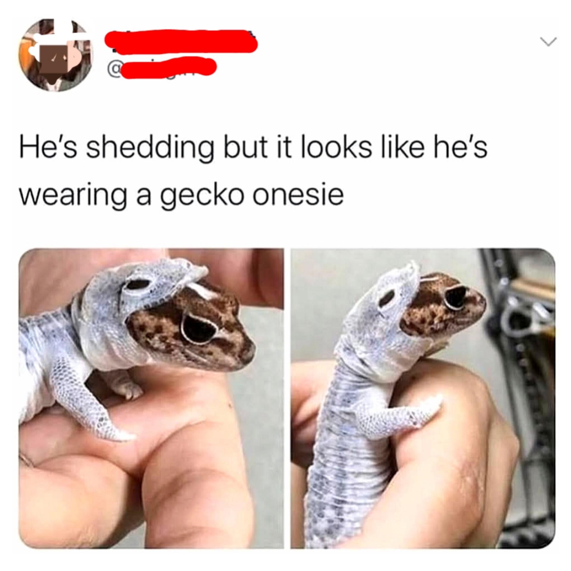 Thread image
