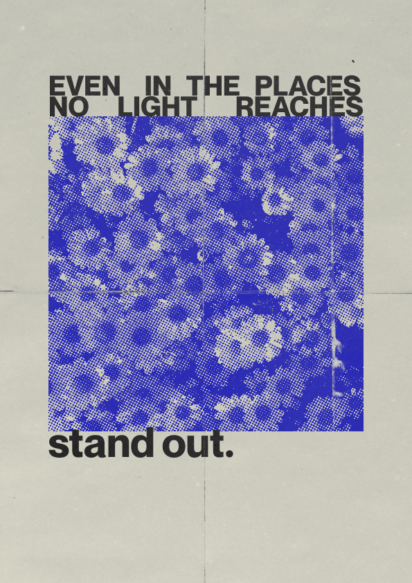 Thread image