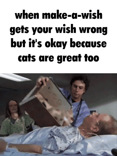 Thread image
