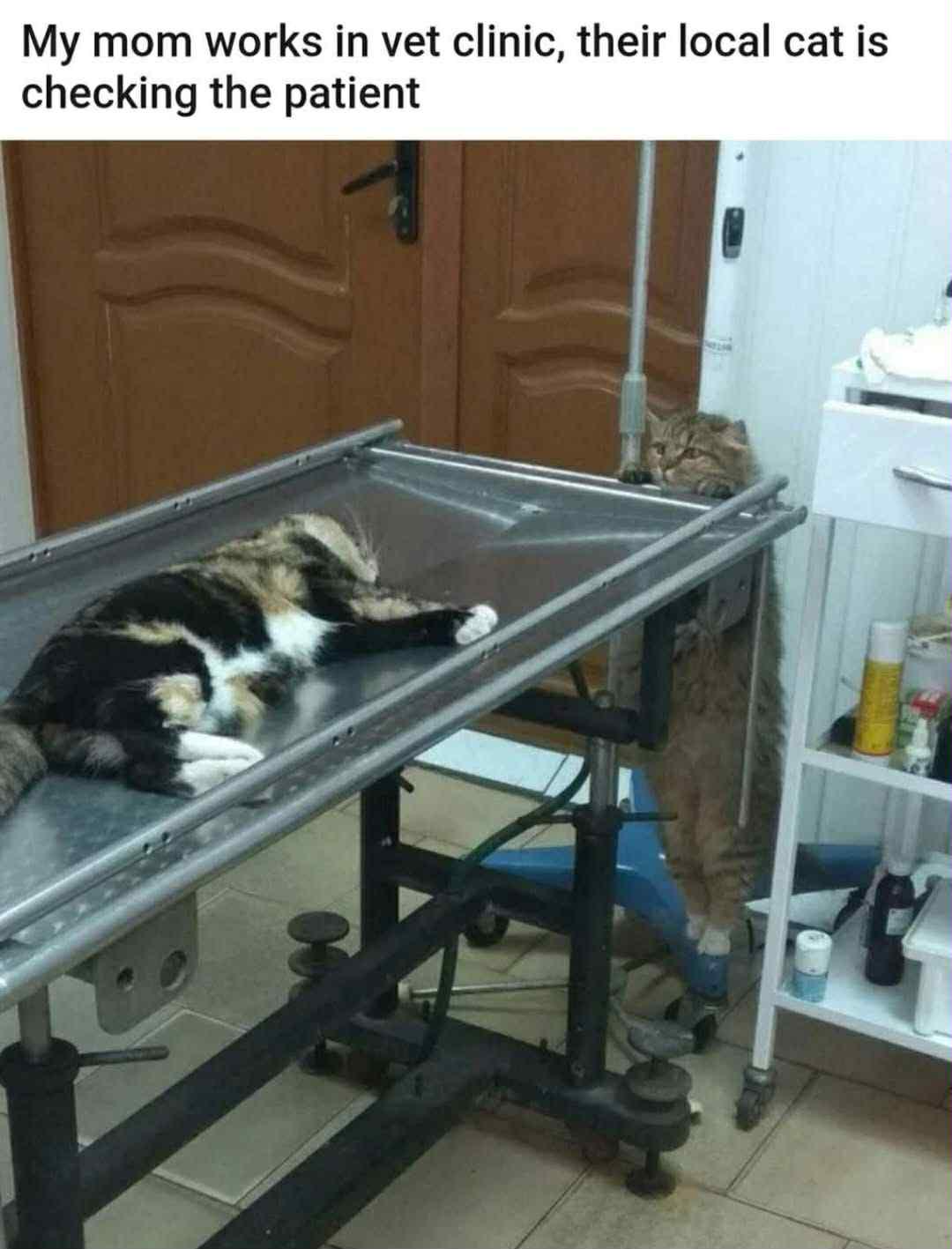 Thread image