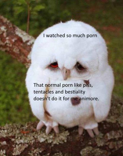 Thread image