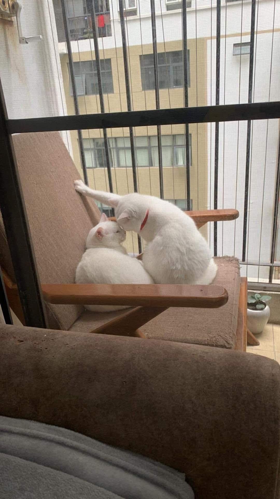 Thread image