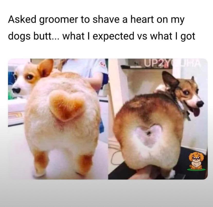 Thread image