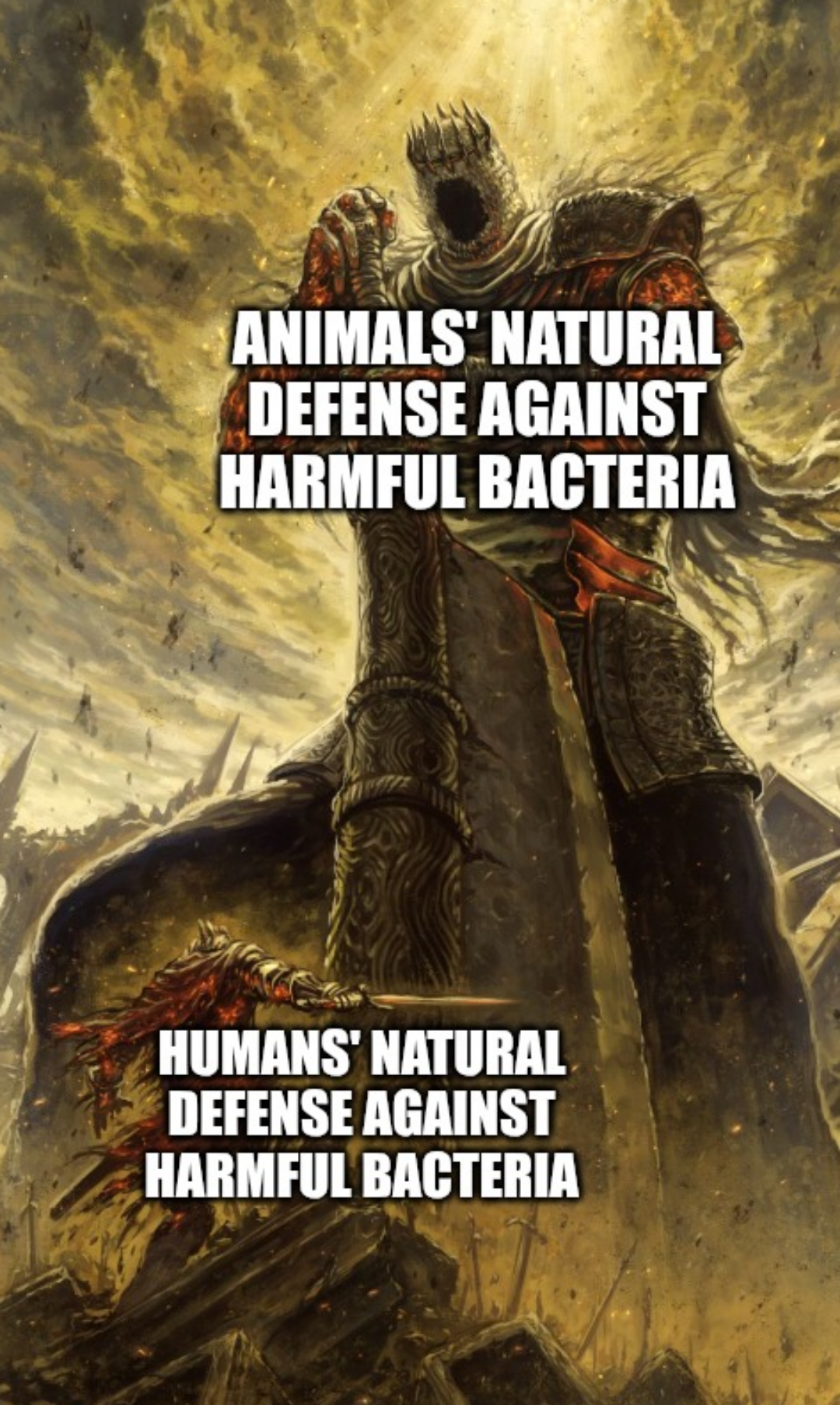 Thread image