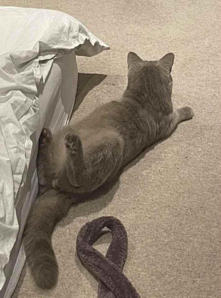 Thread image