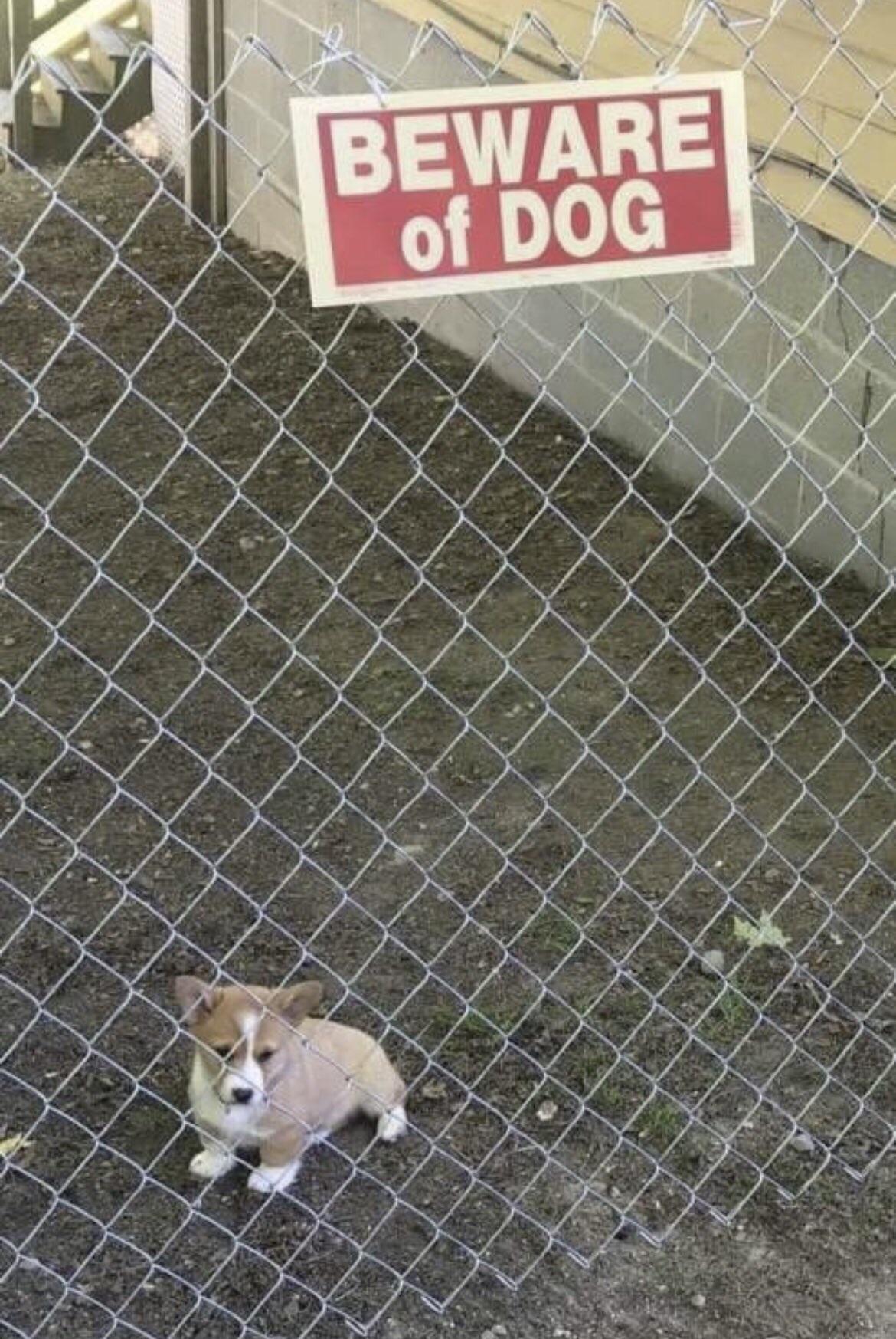 Thread Image