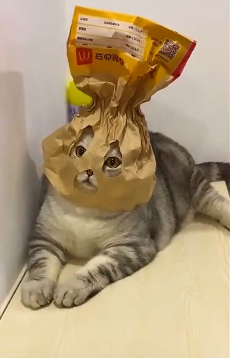 Thread Image