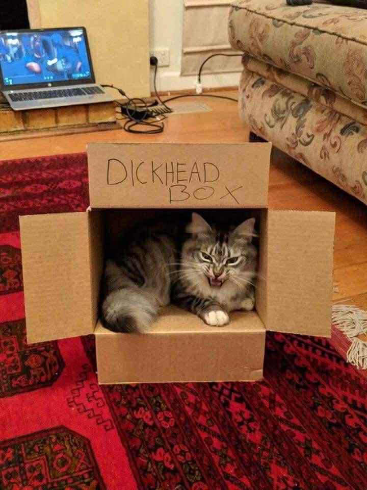 Thread Image