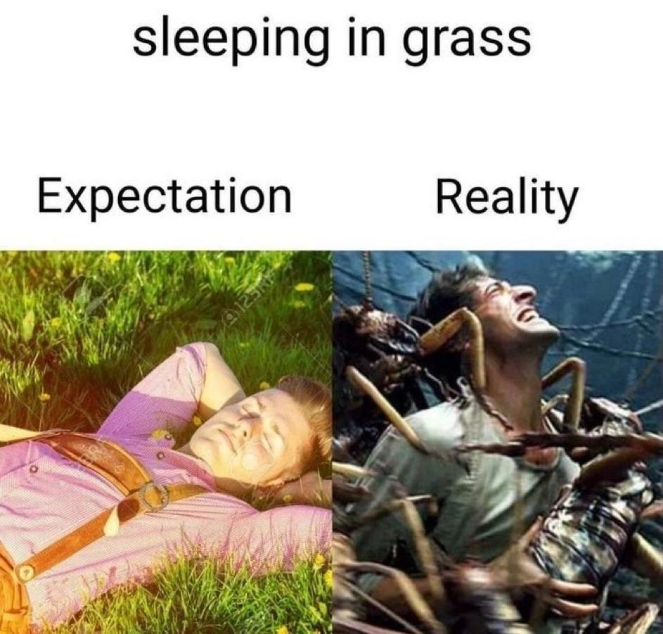 Thread Image