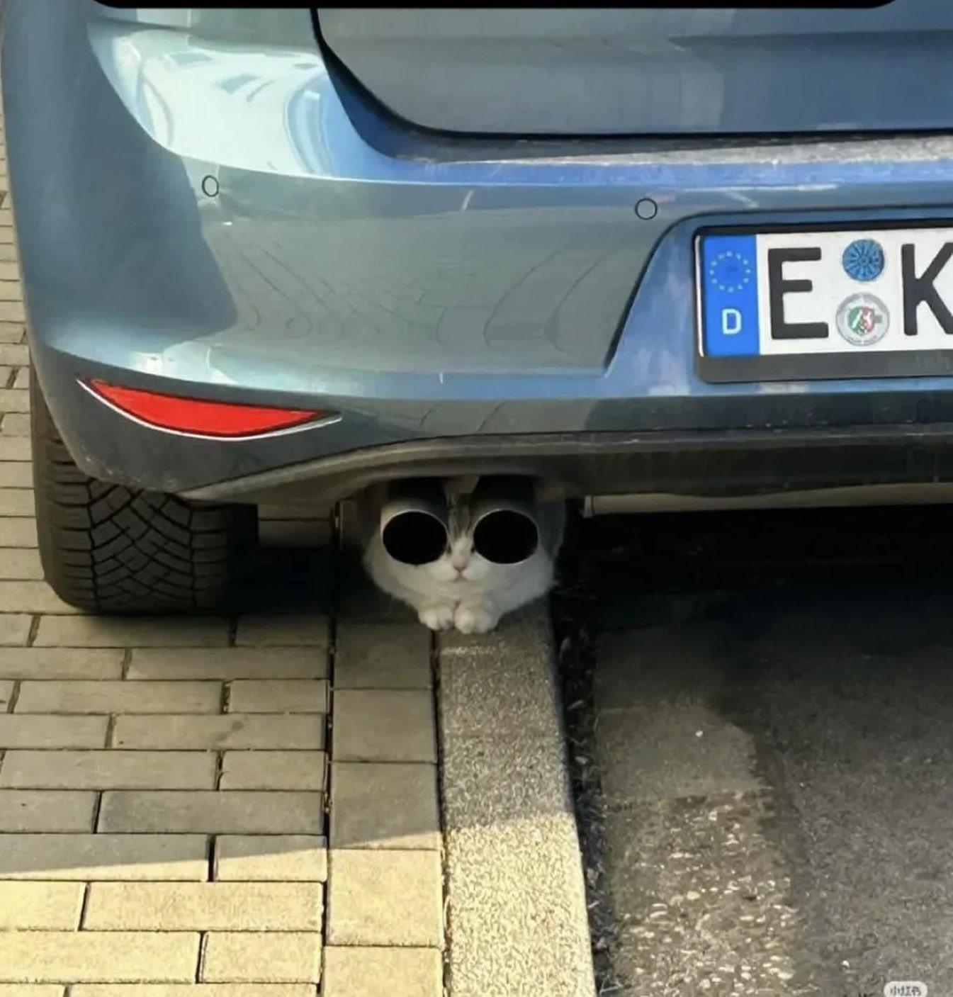 Thread Image