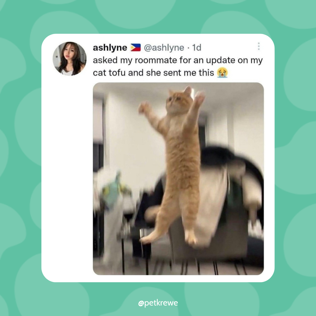 Thread Image