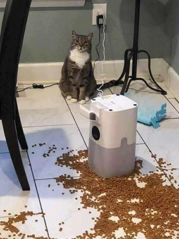 Thread image
