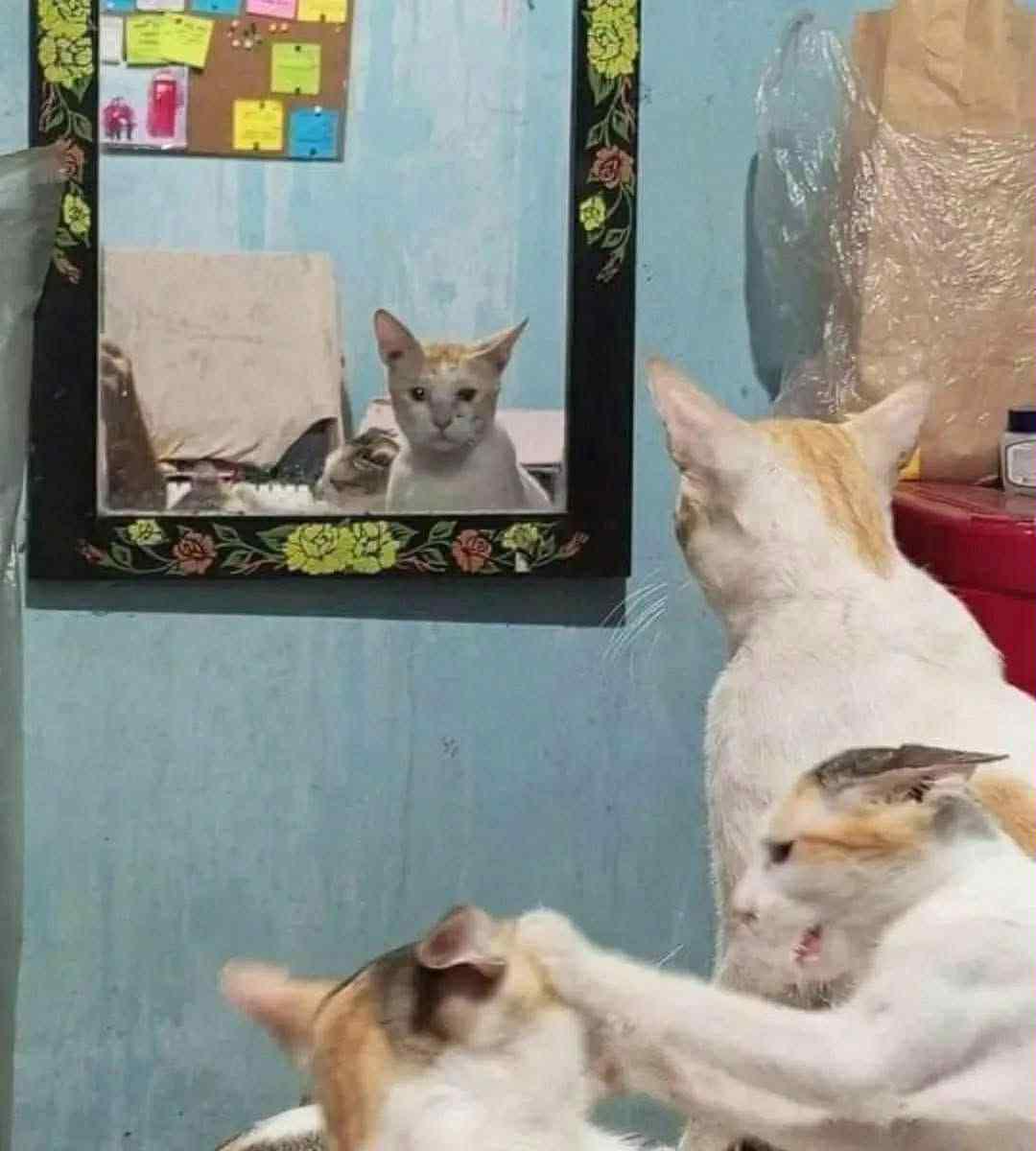 Thread image