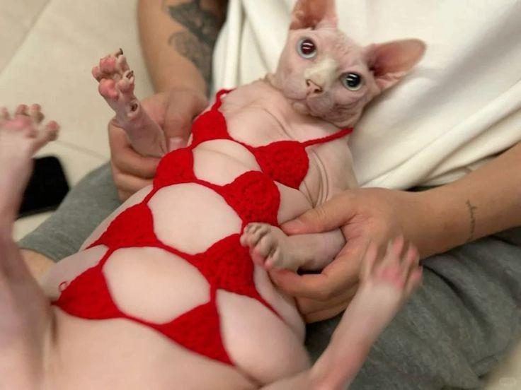 Thread image
