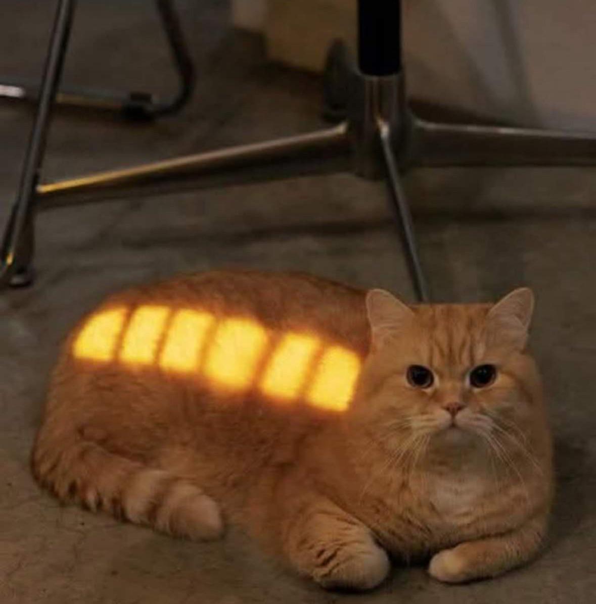 Thread image