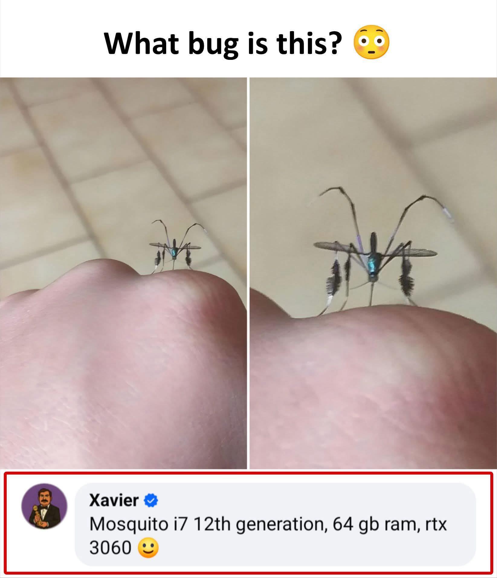 Thread image