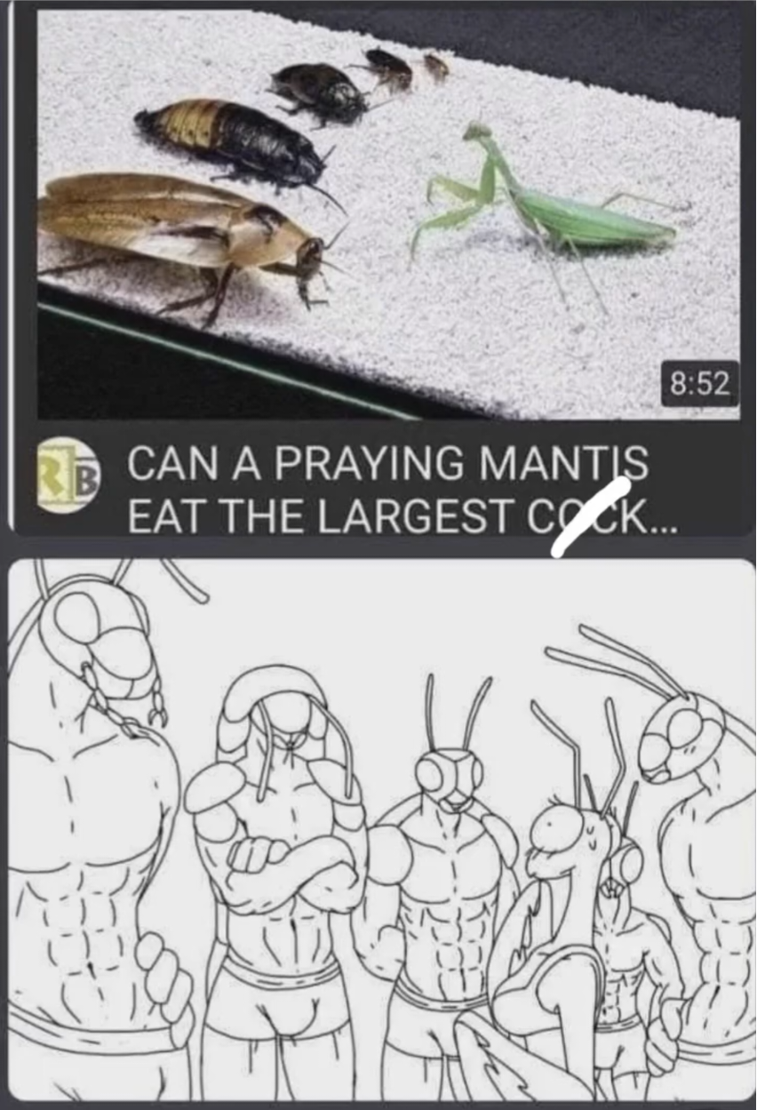 Thread image