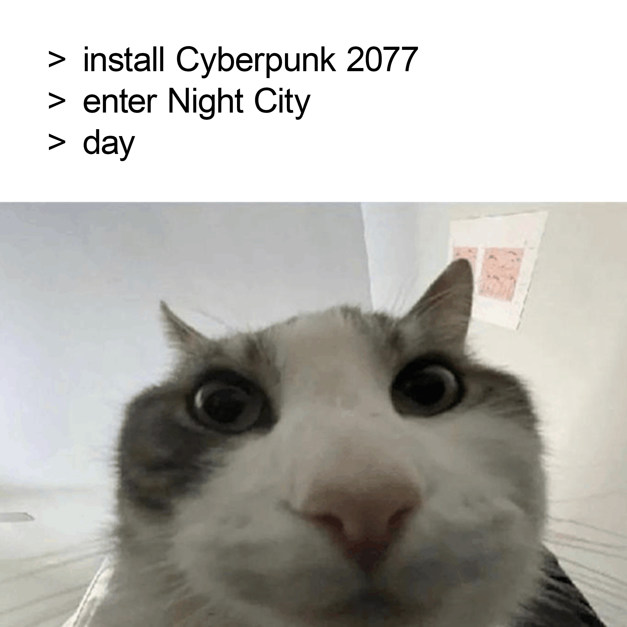 Thread image