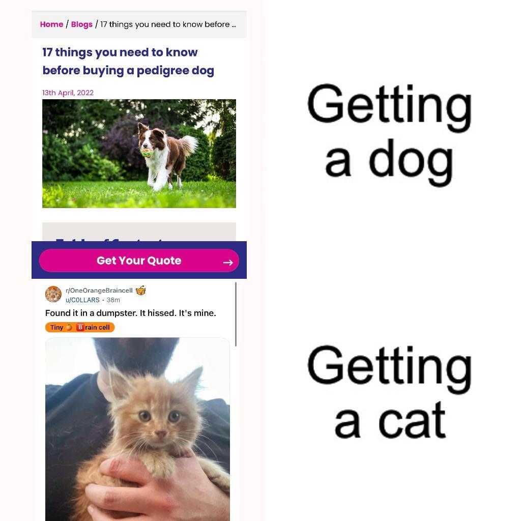 Thread image
