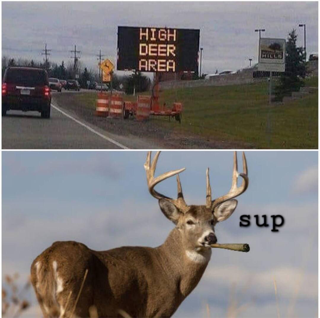 Thread image