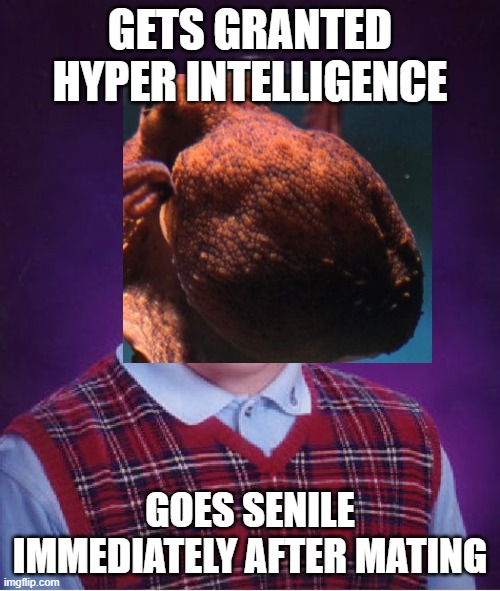 Thread Image