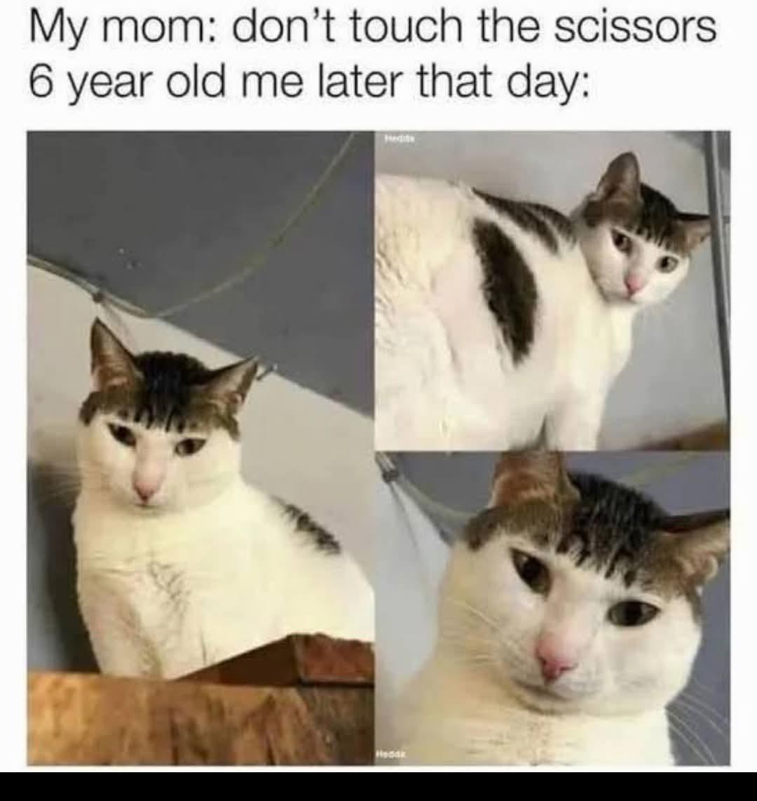 Thread image
