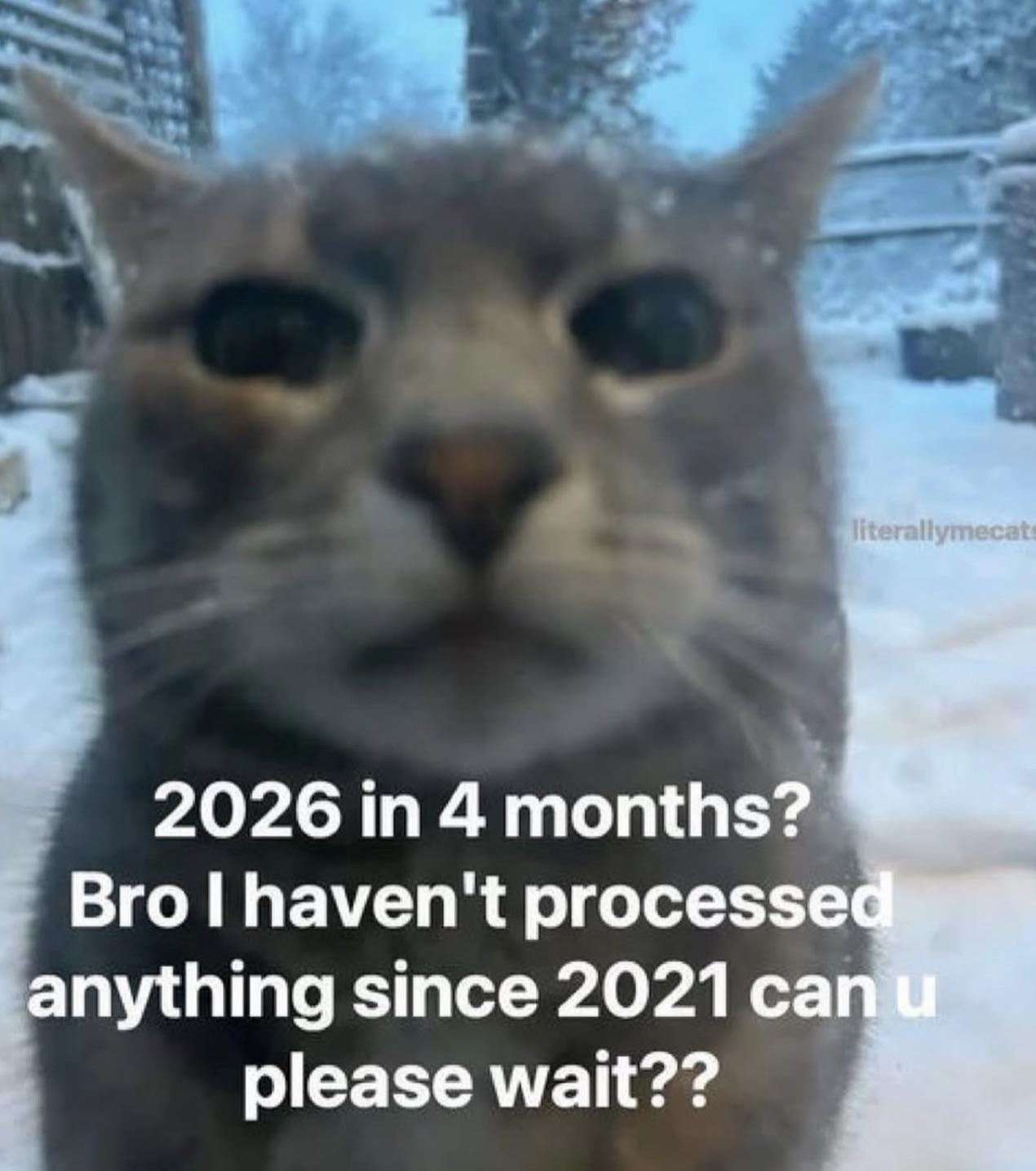 Thread image