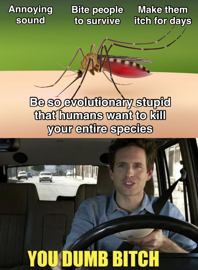 Thread image