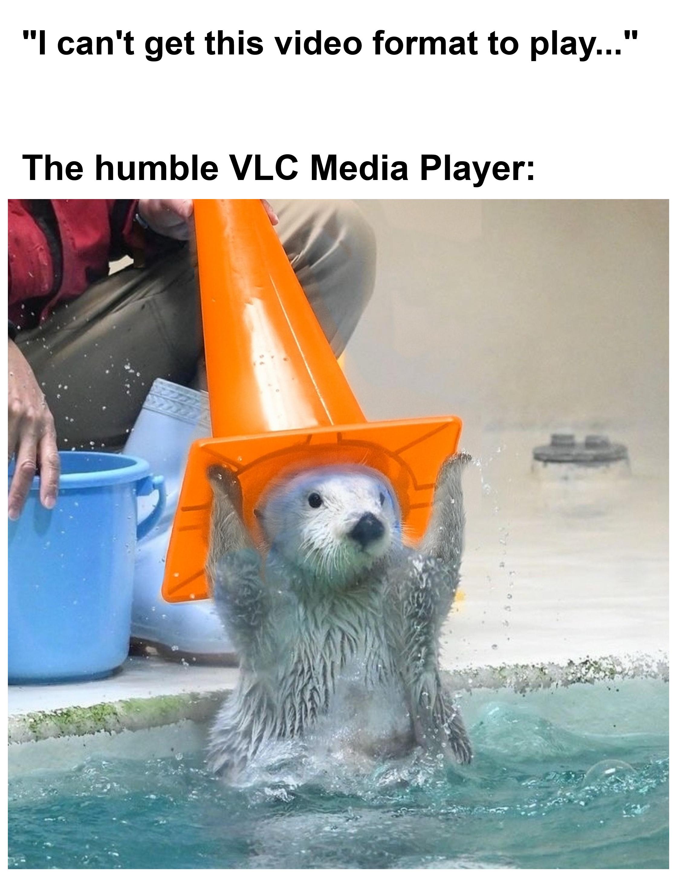 Thread image